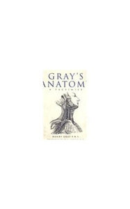 Gray's Anatomy 