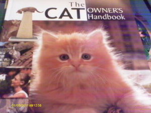 The Cat Owner's Handbook 