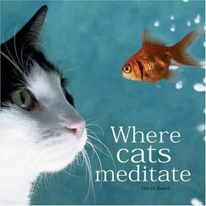 Where Cats Meditate 