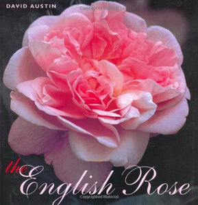 The English Rose 