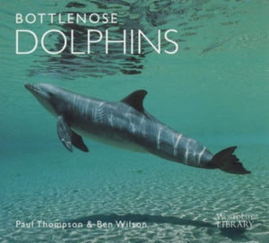 Bottlenose Dolphins 