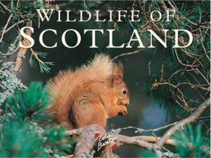 Wildlife of Scotland 