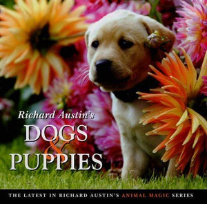 Richard Austin's Dogs and Puppies 