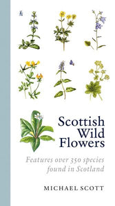 Scottish Wild Flowers 