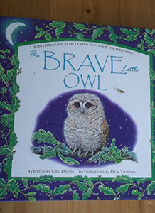 The Brave Little Owl 