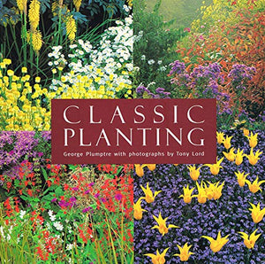 Classic Planting 