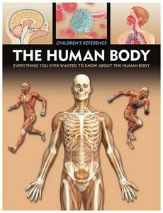 Human Body 