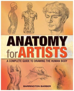 Anatomy for Artists 