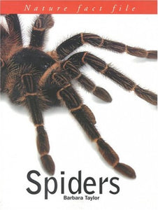 Nature Fact File on Spiders 