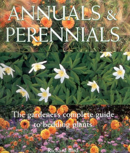 Annuals and Perennials 