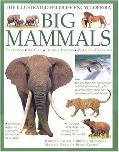 Big Mammals 