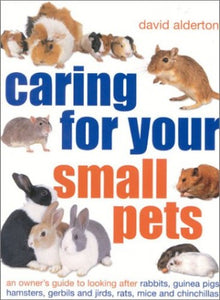 Caring for Your Small Pets: An Owner's Guide to Looking after Rabbits, Guinea Pigs, Hamsters, Gerbils and Jirds, Rats, Mice and Chinchillas 