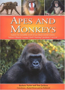 Apes and Monkeys 