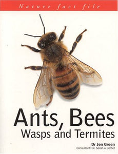 Ants, Bees, Wasps and Termites 