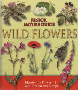 Junior Nature Guide Wild Flowers 