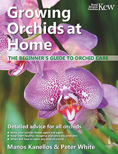 Growing Orchids at Home 