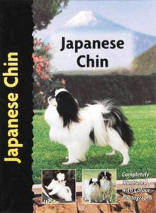 Japanese Chin 