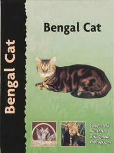 Bengal Cat 