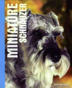 Miniature Schnauzer 