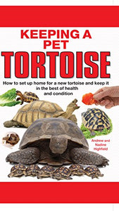 Keeping a Pet Tortoise 