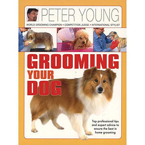 Grooming Your Dog 