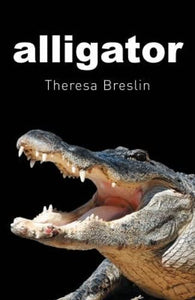 Alligator 