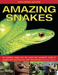 Exploring Nature: Amazing Snakes 