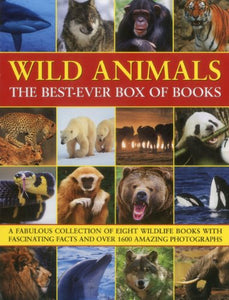 Wild Animals Best Ever Box of Books 