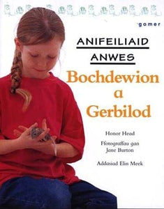 Cyfres Anifeiliaid Anwes: Bochdewion a Gerbilod 