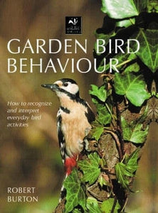 Garden Bird Behaviour 