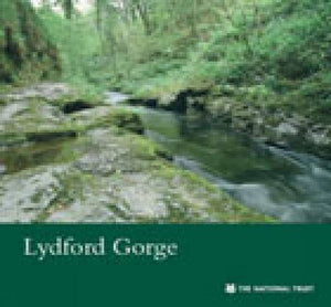 Lydford Gorge, Devon 