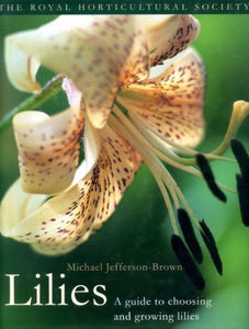 Lilies 