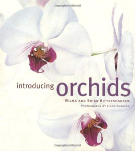 Introducing Orchids 