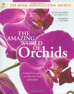 The Amazing World of Orchids 