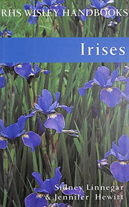 Irises 