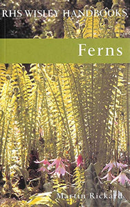 Ferns 