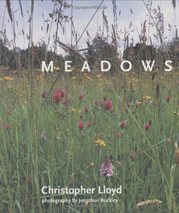 Meadows 