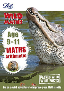 Maths - Arithmetic Age 9-11 