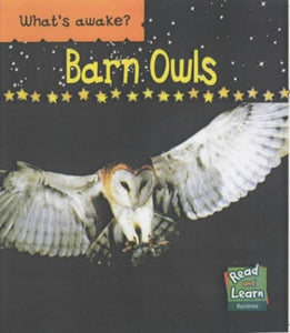 Barn Owls 