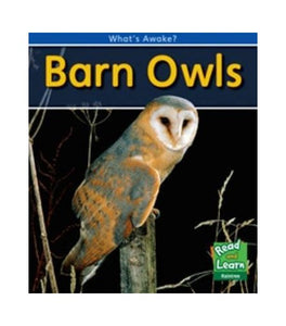 Barn Owls 