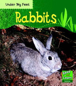 Under My Feet: Rabbits Paperback 