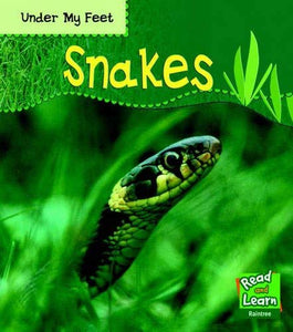 Under My Feet: Snakes Paperback 