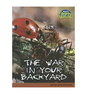 The War in Your Backyard 