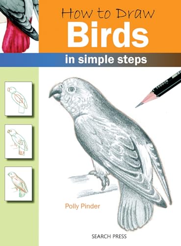 How to Draw: Birds