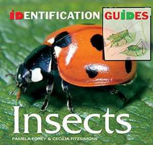 Insects 