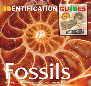 Fossils 