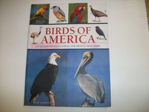 Birds of America 