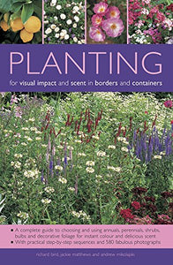 Planting for Visual Impact and Scent in Borders and Containers 