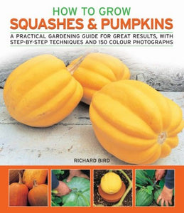 How to Grow Squashes and Pumpkins 