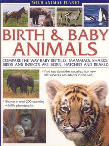 Wild Animal Planet: Birth and Baby Animals*** Out of Stock 